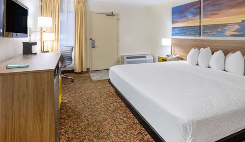 Room, 1 King Bed, Accessible, Non Smoking (Roll-In Shower)