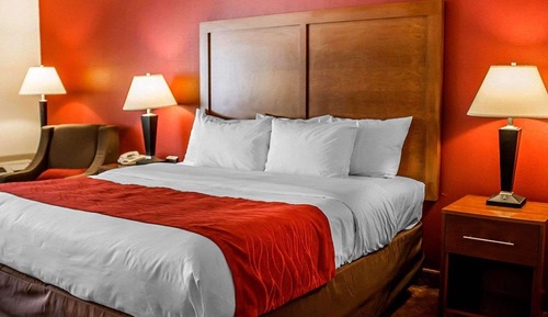 Standard Room, 1 King Bed, Non Smoking
