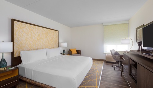 Standard Room, 1 King Bed with Sofa bed