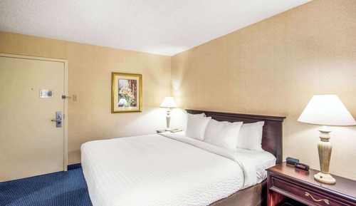 Standard Room, 1 King Bed, Non Smoking (Pet Friendly)