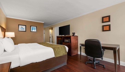 Standard Room, 1 King Bed, Non Smoking, City View
