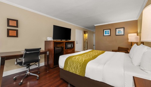 Standard Room, 1 King Bed, Non Smoking, Ocean View