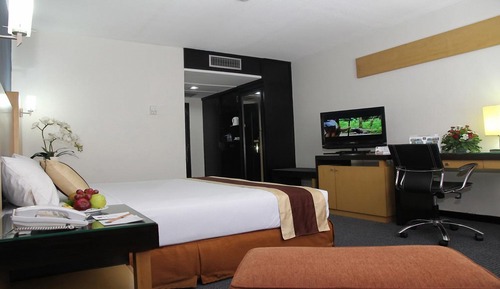 Executive Double or Twin Room, Smoking, City View