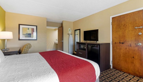 Standard Room, 1 King Bed, Accessible, Bathtub