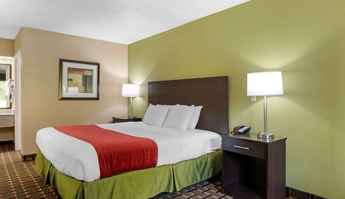 Standard Room, 1 King Bed, Smoking, Refrigerator & Microwave