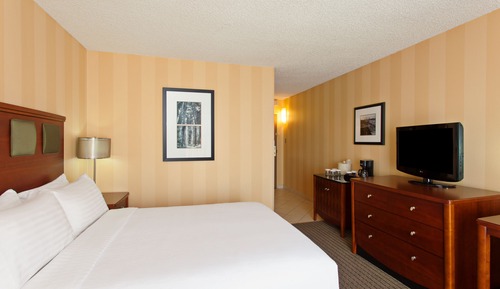 Premium Room, 1 King Bed (High Floor)