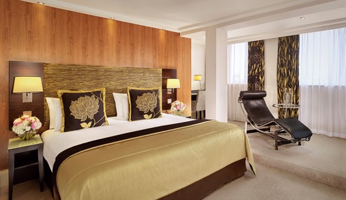 Executive Suite, 1 King Bed with Sofa bed