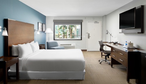 Room, 1 King Bed with Sofa bed