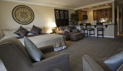 Studio Suite, 1 King Bed, Sofabed, Kitchenette 