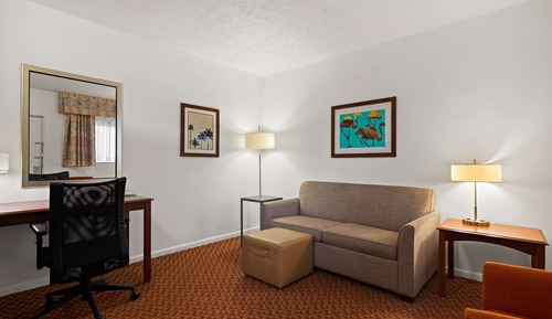 Standard Suite, 1 King Bed with Sofa bed, Non Smoking, Refrigerator (with Sofabed)