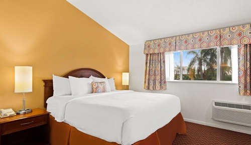 Standard Single Room, 1 King Bed, Non Smoking, Refrigerator