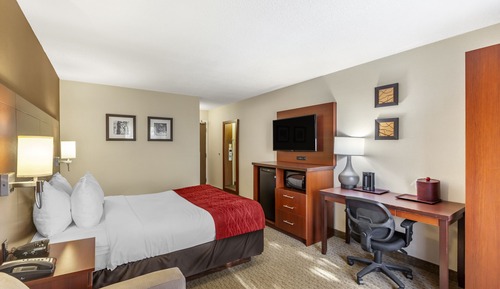 Standard Room, 1 Queen Bed with Sofa bed