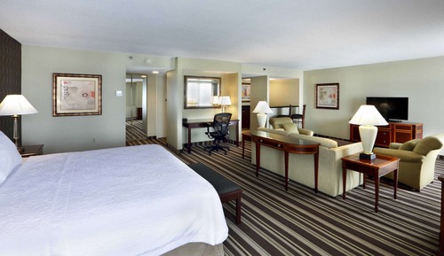 King Suite, 1 King Bed with Sofa bed, Non Smoking
