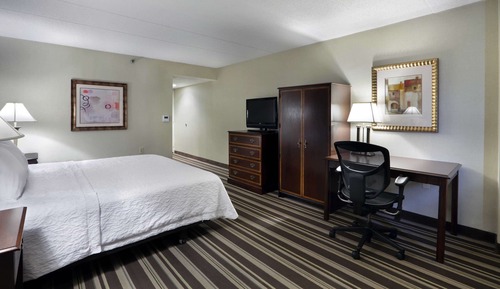 Standard Room, 1 King Bed, Accessible (Roll-In Shower)