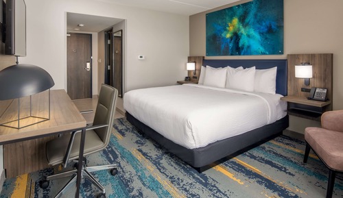 Room, 1 King Bed, Non Smoking