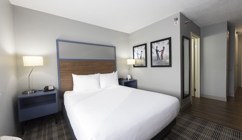 Room, 1 Queen Bed, Non Smoking