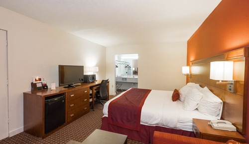 Room, 1 King Bed