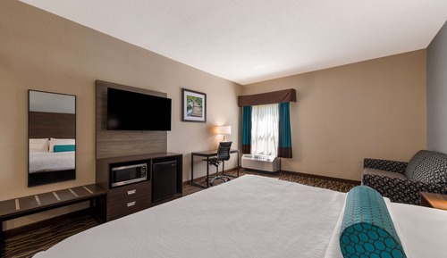 Standard Room, 1 King Bed, Non Smoking, Refrigerator & Microwave (with Single Sofabed)
