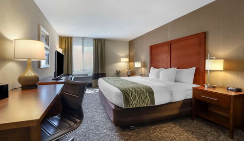 Standard Room, 1 King Bed, Non Smoking