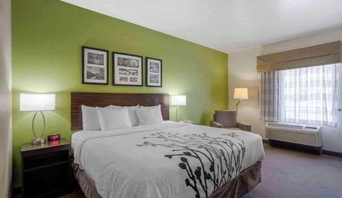 Suite, 1 King Bed with Sofa bed, Accessible, Non Smoking