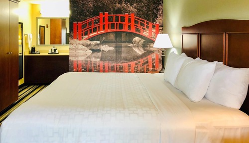 Room, 1 King Bed, Non Smoking