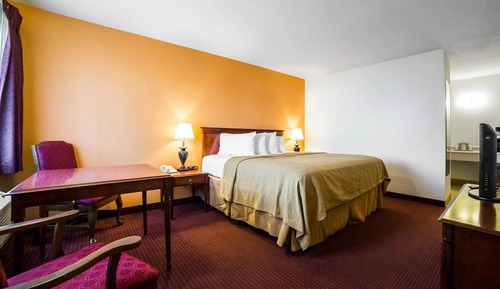 Standard Room, 1 King Bed, Accessible, Non Smoking (Shower Only)