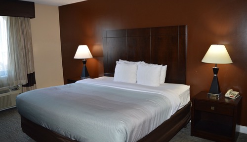 Standard Room, 1 King Bed, Non Smoking