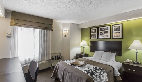 Standard Room, 1 King Bed, Non Smoking