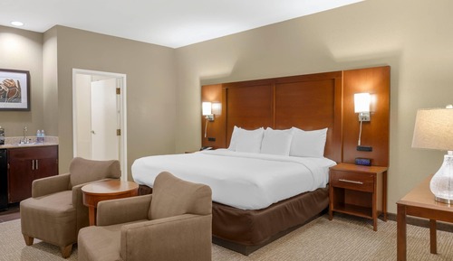 Business Room, 1 King Bed, Non Smoking, Ground Floor (Upgrade)