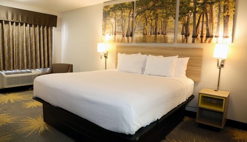 Standard Room, 1 King Bed, Smoking