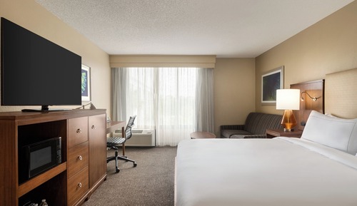Room, 1 King Bed with Sofa bed, Pool View