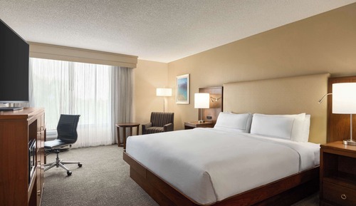 Room, 1 King Bed, Pool View