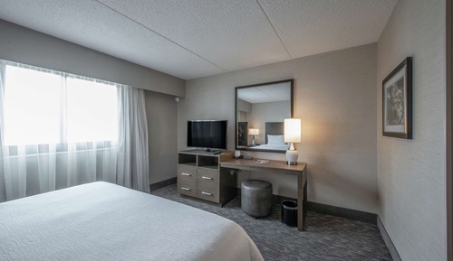 Suite, 1 King Bed with Sofa bed
