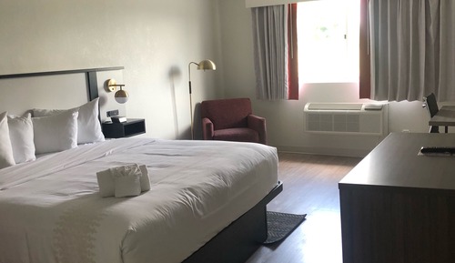 Room, 1 King Bed, Non Smoking (Newly Renovated)