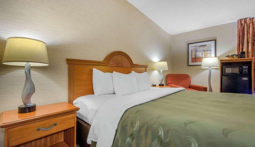 Standard Room, 1 King Bed, Non Smoking