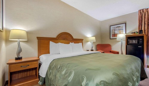 Room, 1 King Bed with Sofa bed, Non Smoking