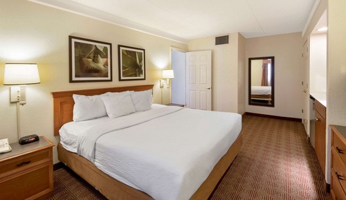 Deluxe Suite, 1 King Bed, Non Smoking