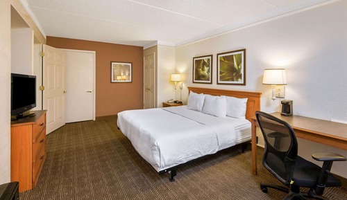 Room, 1 King Bed, Bathtub Grab Bars, Non Smoking (Mobility/Hearing Accessible)