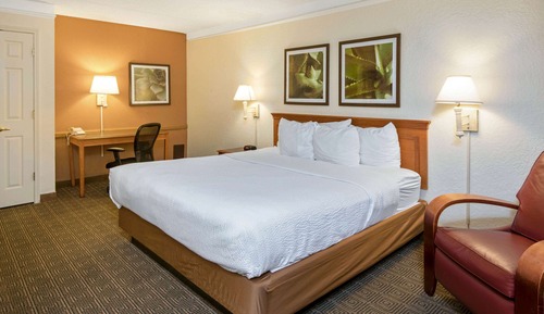 Room, 1 King Bed, Non Smoking