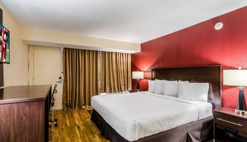 Premium Room, 1 King Bed, Accessible, Poolside (Upgraded Bedding&Snack Box, RI Shower)