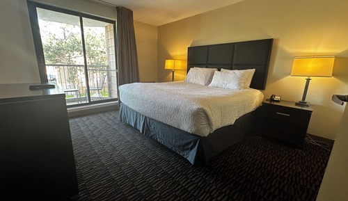 Suite, 1 King Bed
