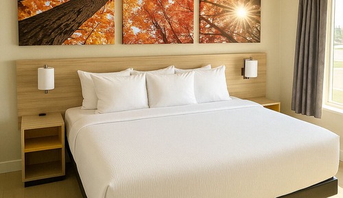 Room, 1 King Bed, Non Smoking