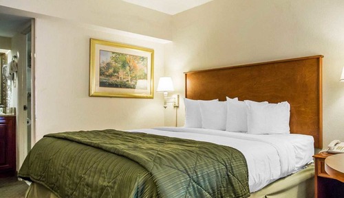 Room, 1 King Bed, Accessible, Non Smoking