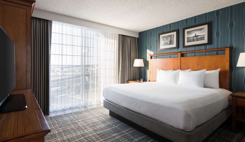 Room, 1 King Bed, Non Smoking (Shower)