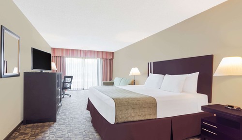 Room, 1 King Bed, Refrigerator
