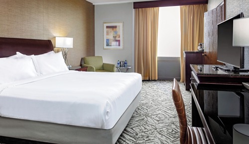 Room, 1 King Bed (294 SQ FT)