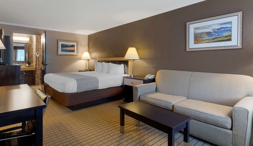 Standard Room, 1 King Bed, Refrigerator & Microwave, Mountain View