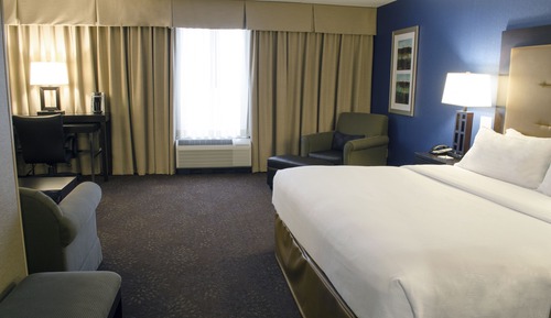Room, 1 Queen Bed, Roll-in Shower (Communications)