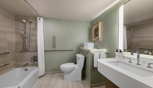 Room, 1 King Bed, Accessible (Mobility Tub)