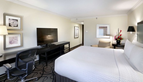 Room, 1 King Bed (Good Vibes)